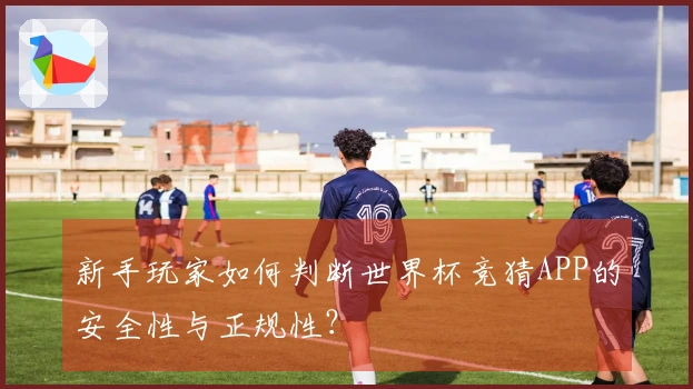新手玩家如何判断世界杯竞猜APP的安全性与正规性？