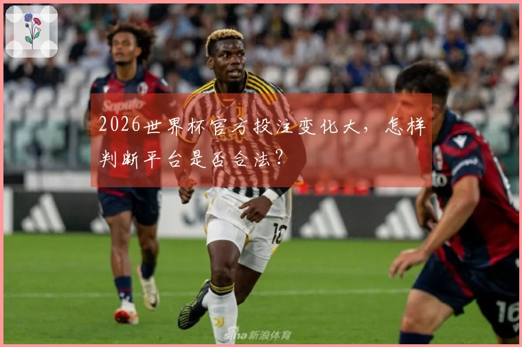 2026世界杯官方投注变化大，怎样判断平台是否合法？