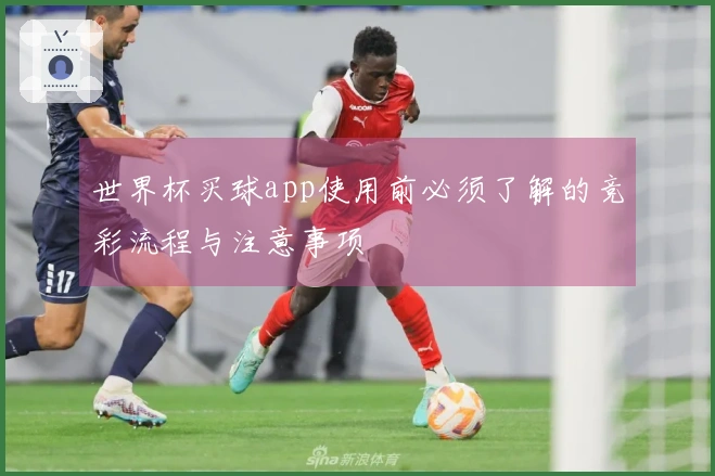 世界杯买球app使用前必须了解的竞彩流程与注意事项