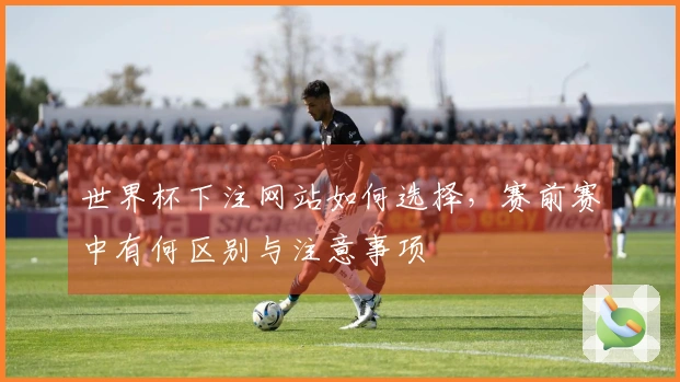 世界杯下注网站如何选择，赛前赛中有何区别与注意事项