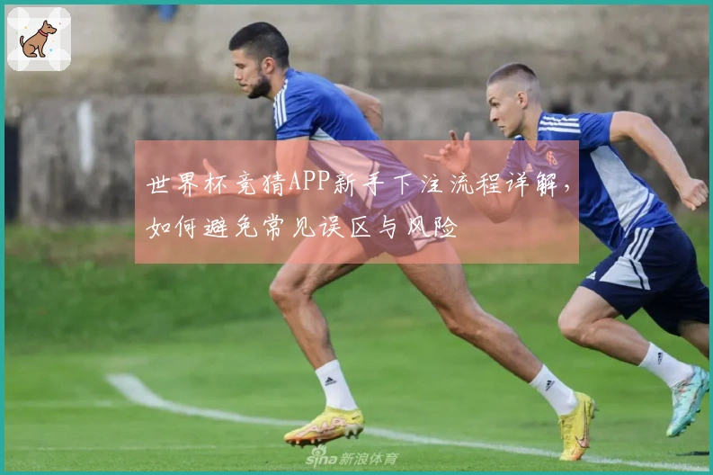 世界杯竞猜APP新手下注流程详解，如何避免常见误区与风险