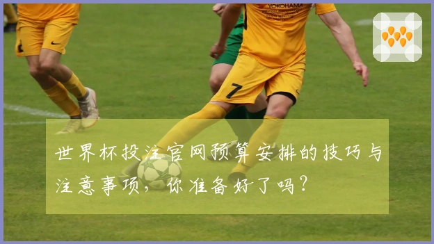 世界杯投注官网预算安排的技巧与注意事项,你准备好了吗?