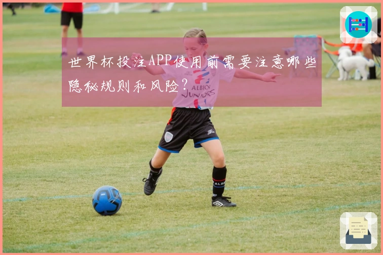 世界杯投注APP使用前需要注意哪些隐秘规则和风险?