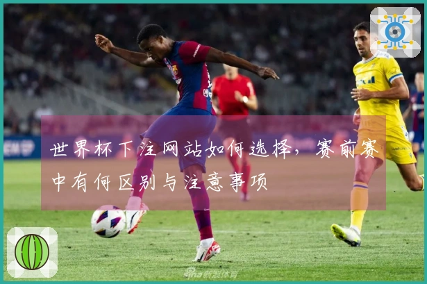 世界杯下注网站如何选择，赛前赛中有何区别与注意事项