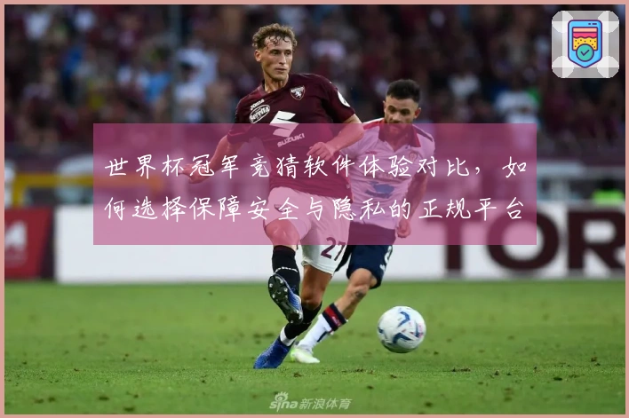 世界杯冠军竞猜软件体验对比,如何选择保障安全与隐私的正规平台?