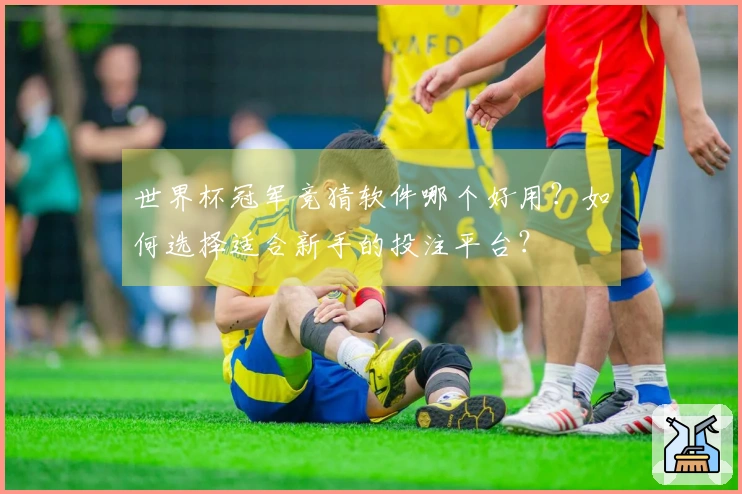 世界杯冠军竞猜软件哪个好用？如何选择适合新手的投注平台？