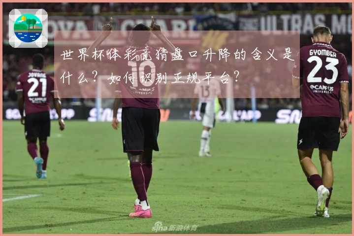世界杯体彩竞猜盘口升降的含义是什么？如何识别正规平台？