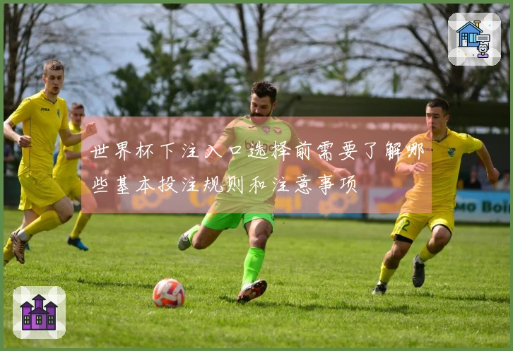 世界杯下注入口选择前需要了解哪些基本投注规则和注意事项