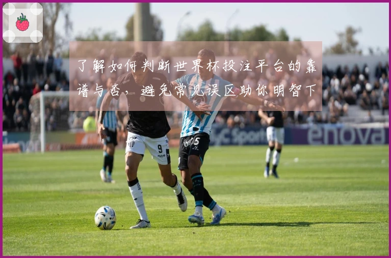 了解如何判断世界杯投注平台的靠谱与否，避免常见误区助你明智下注