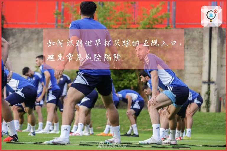 如何识别世界杯买球的正规入口，避免常见风险陷阱