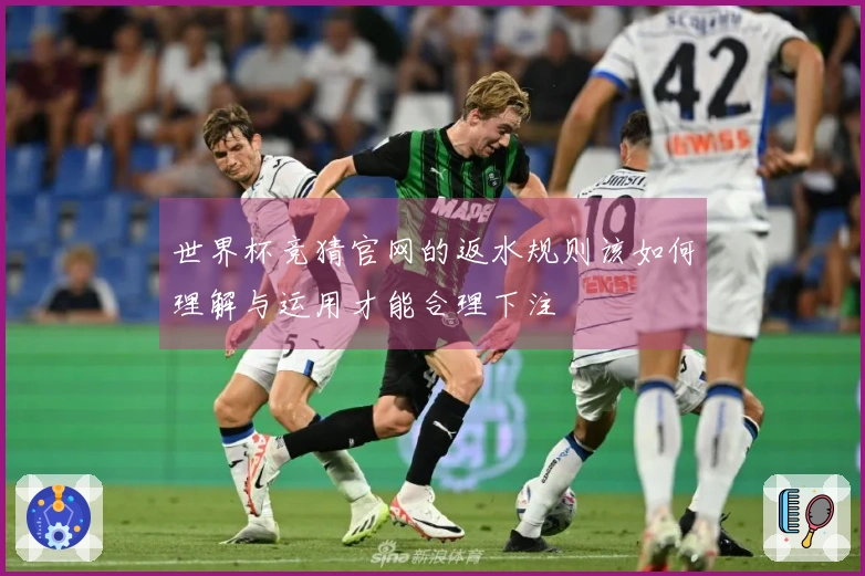 世界杯竞猜官网的返水规则该如何理解与运用才能合理下注