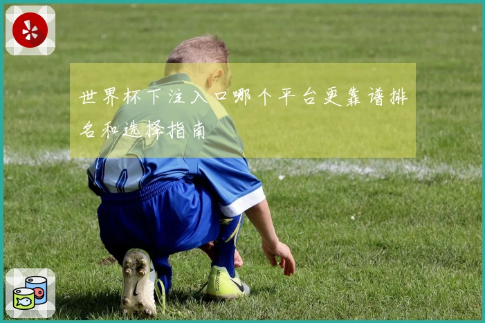 世界杯下注入口哪个平台更靠谱排名和选择指南