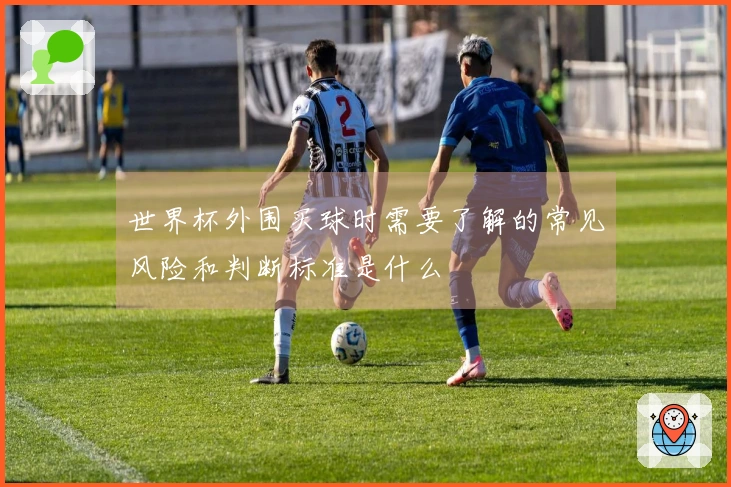 世界杯外围买球时需要了解的常见风险和判断标准是什么