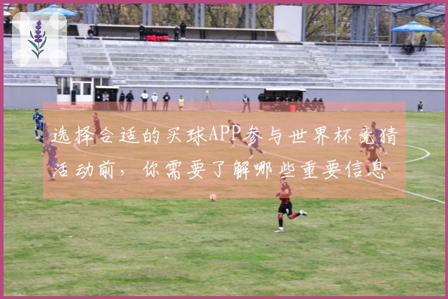 选择合适的买球APP参与世界杯竞猜活动前,你需要了解哪些重要信息?