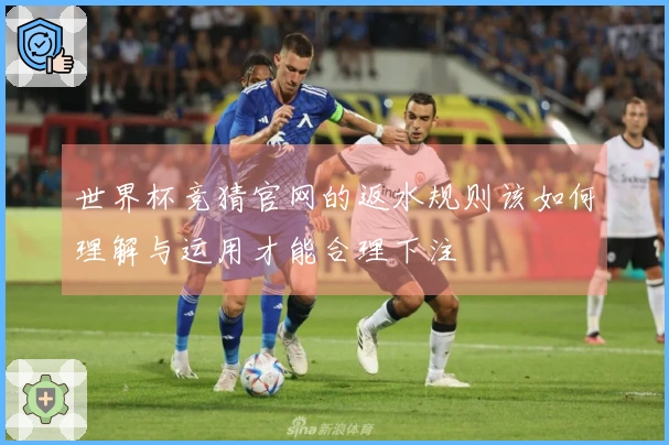 世界杯竞猜官网的返水规则该如何理解与运用才能合理下注