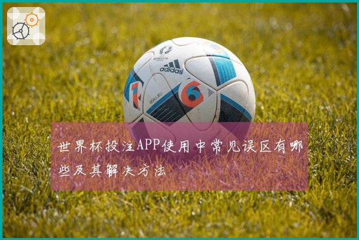 世界杯投注APP使用中常见误区有哪些及其解决方法