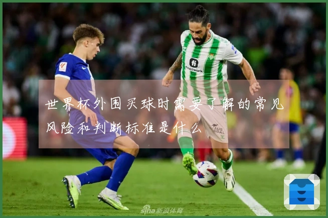 世界杯外围买球时需要了解的常见风险和判断标准是什么