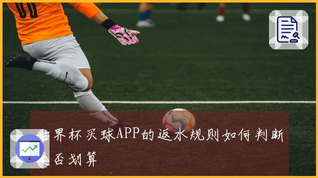世界杯买球APP的返水规则如何判断是否划算