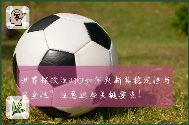 世界杯投注app如何判断其稳定性与安全性？注意这些关键要点！