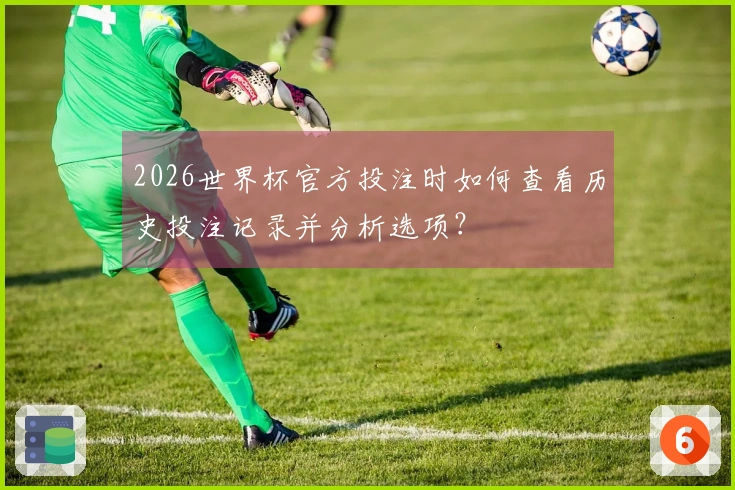 2026世界杯官方投注时如何查看历史投注记录并分析选项?