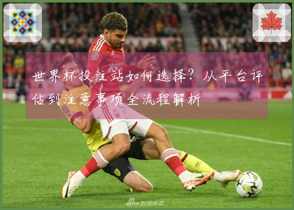 世界杯投注站如何选择？从平台评估到注意事项全流程解析