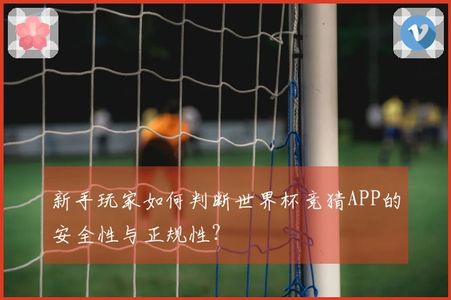 新手玩家如何判断世界杯竞猜APP的安全性与正规性？