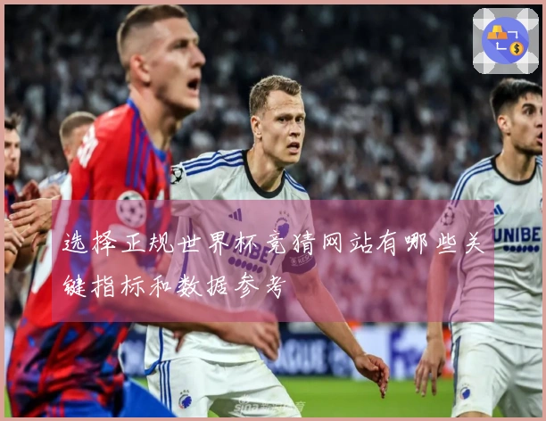 选择正规世界杯竞猜网站有哪些关键指标和数据参考