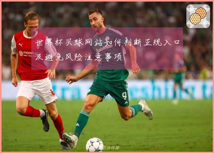 世界杯买球网站如何判断正规入口及避免风险注意事项