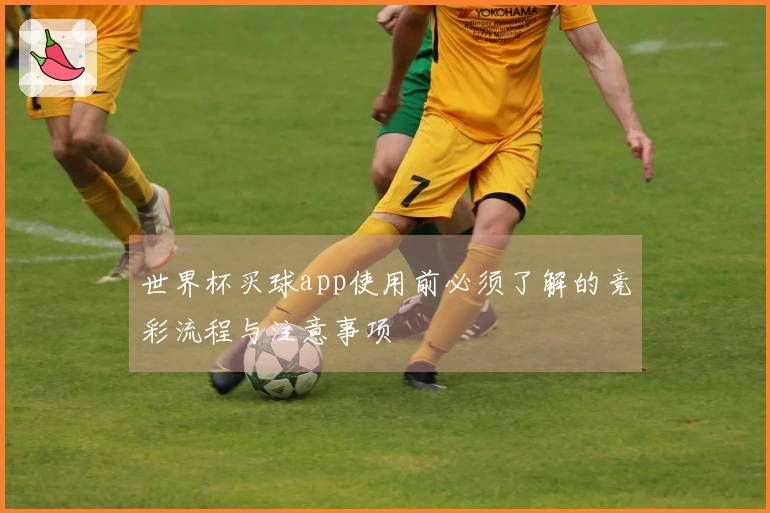 世界杯买球app使用前必须了解的竞彩流程与注意事项