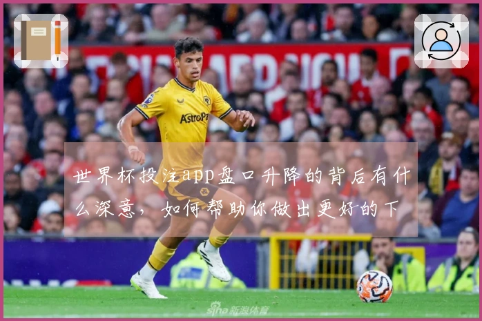 世界杯投注app盘口升降的背后有什么深意，如何帮助你做出更好的下注决策？