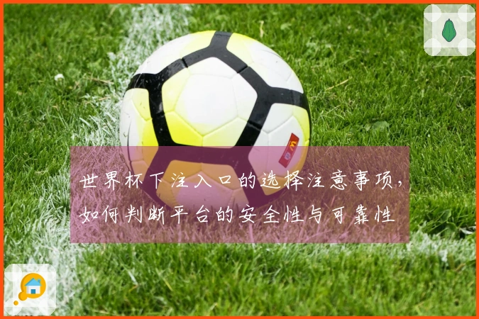 世界杯下注入口的选择注意事项,如何判断平台的安全性与可靠性