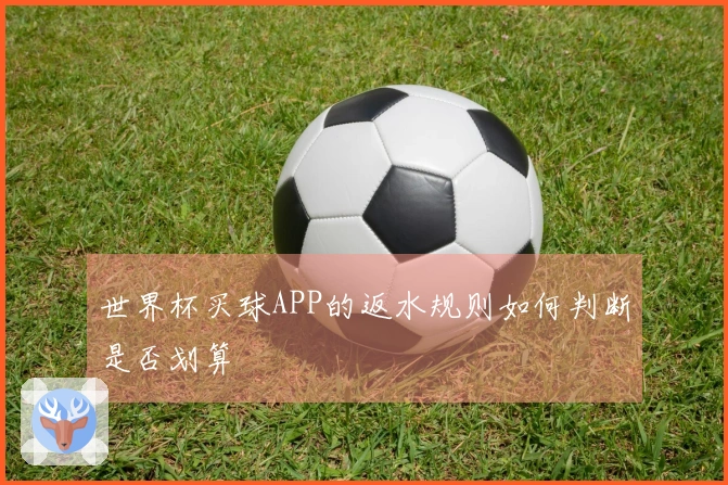 世界杯买球APP的返水规则如何判断是否划算